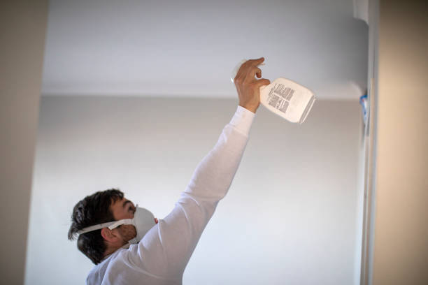Best Health and Safety Mold Remediation in Gardendale, TX